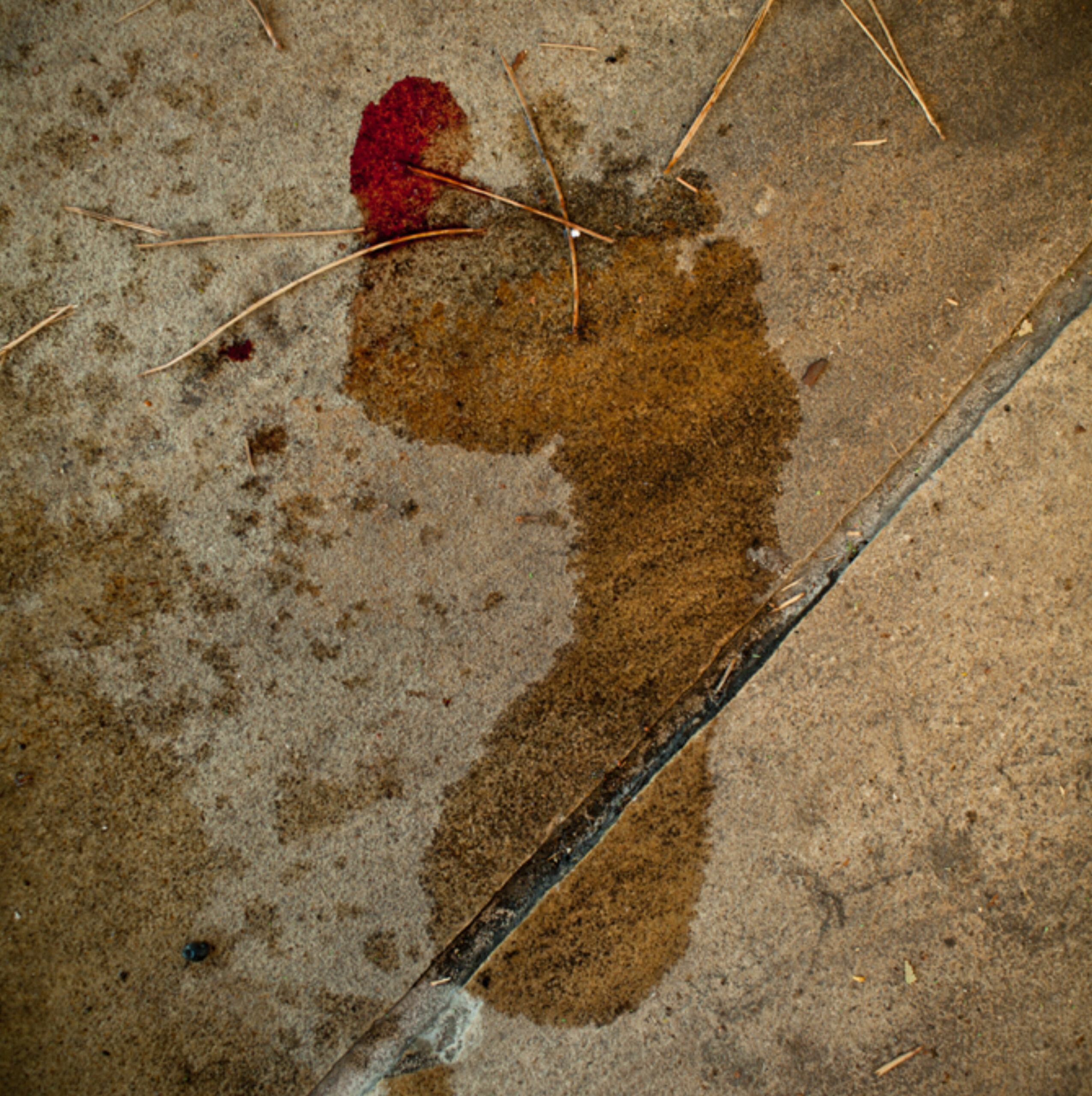 20180513_zac_wolfie-2