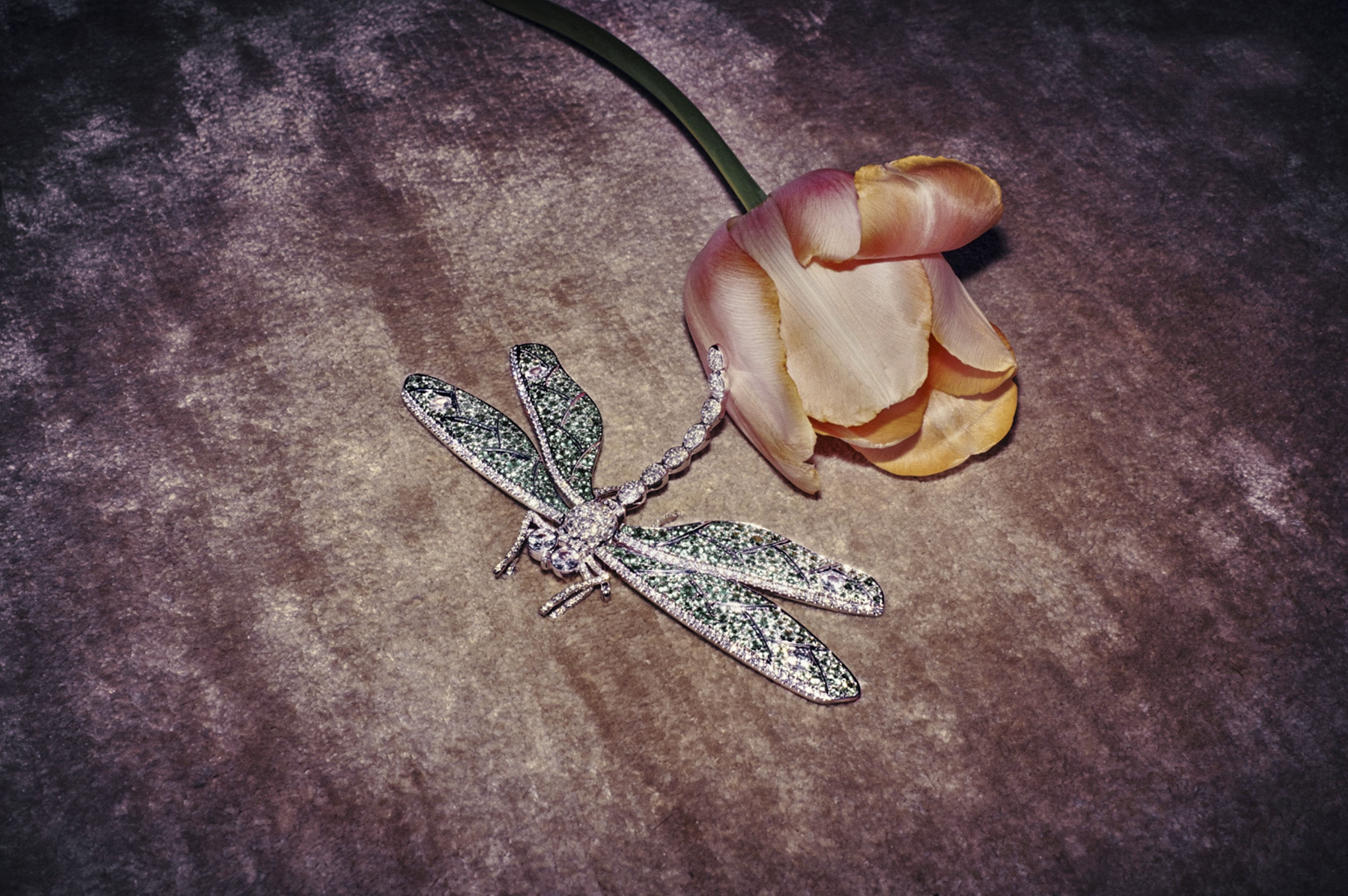 zacland_sillam_title