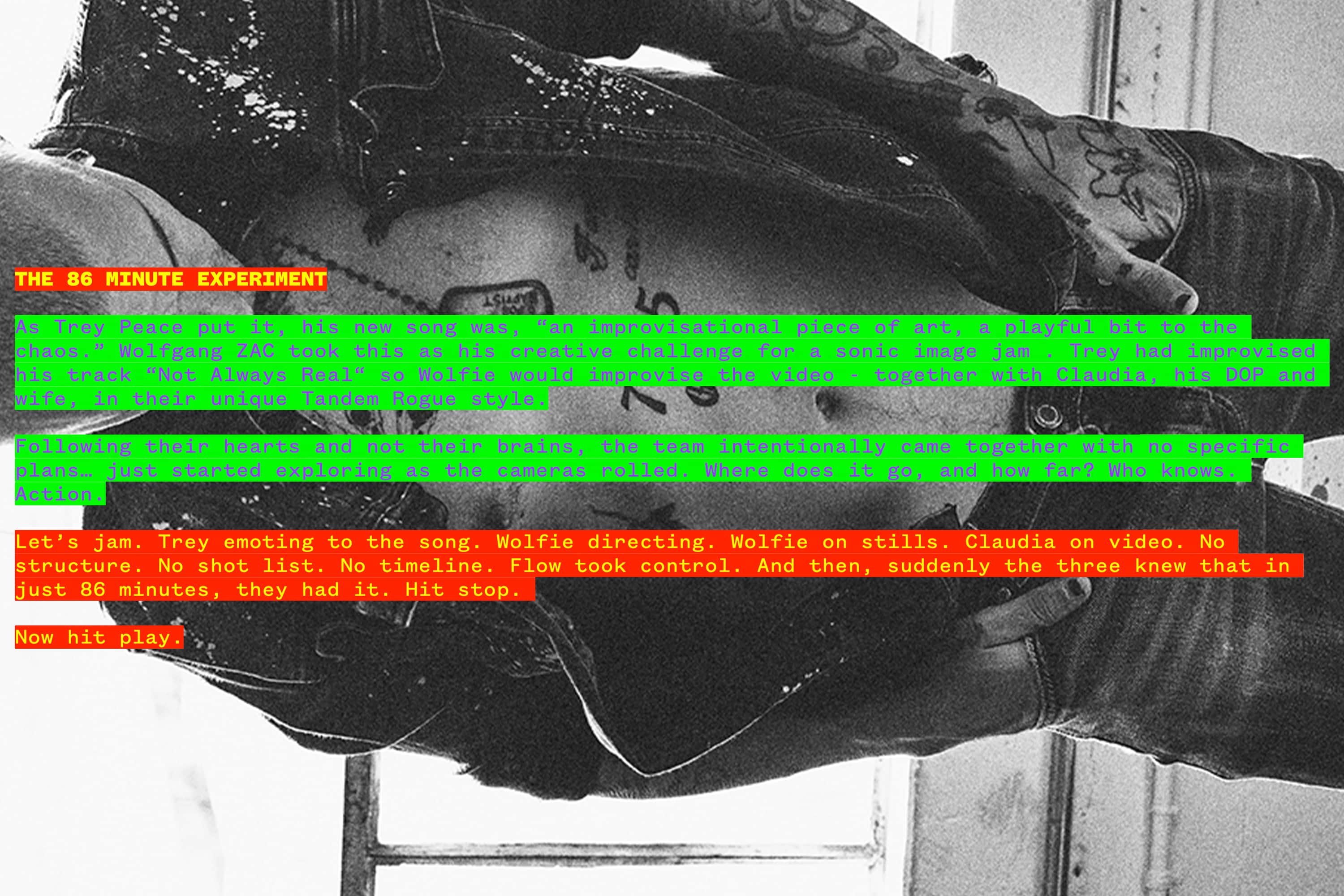 zacland_trey-peace_3_new