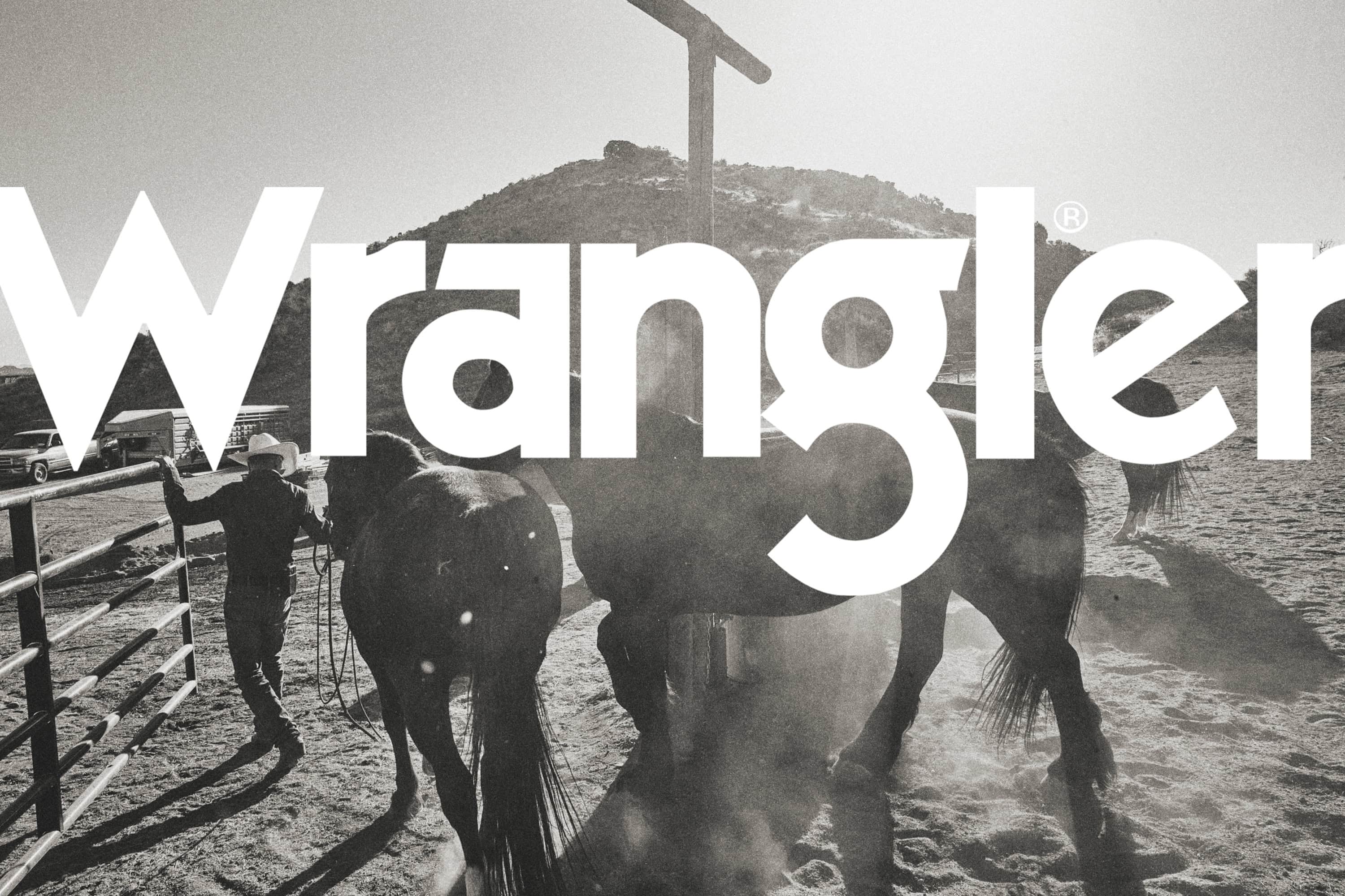 zac-x-what-if-wrangler-3
