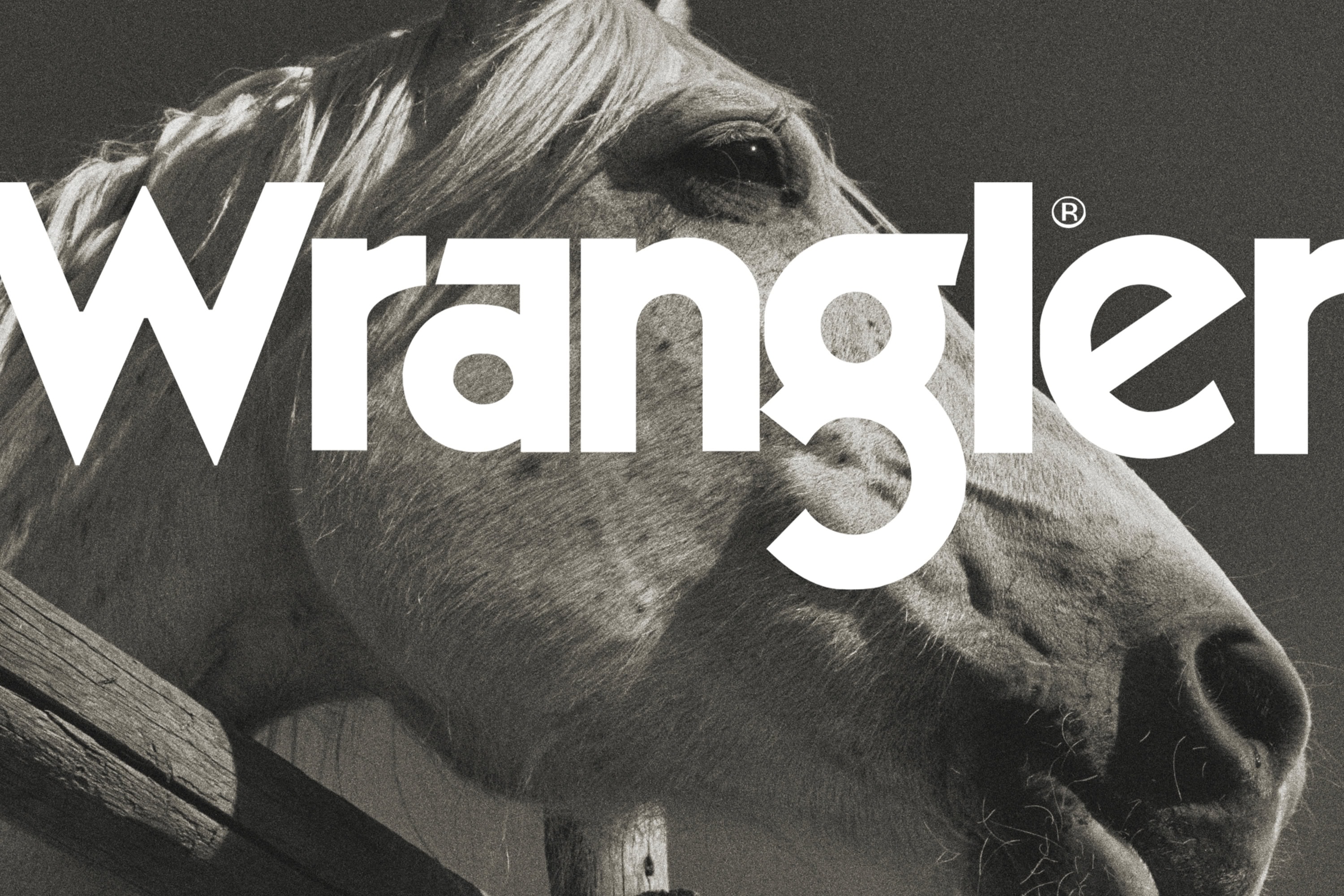 zac-x-what-if-wrangler-9